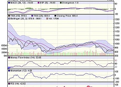 Góc nhìn kỹ thuật phiên 14/11: Vùng 900-905 điểm sẽ đóng vai trò là vùng hỗ trợ