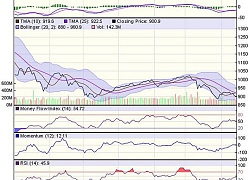 Góc nhìn kỹ thuật phiên 15/11: Vùng quanh 900 điểm sẽ tiếp tục đóng vai trò hỗ trợ