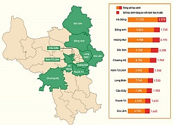 HĐND chỉ ra những hạn chế của ngành giáo dục thủ đô