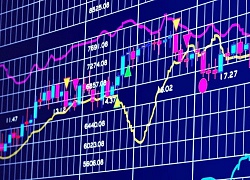 Lãi ròng 9 tháng giảm 14%, MST vẫn &#8220;ôm mộng&#8221; tăng vốn lên gần gấp đôi