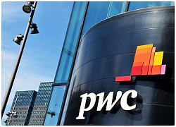 PwC: 53% các vụ phạm tội kinh tế tại Việt Nam có thủ phạm là người nội bộ