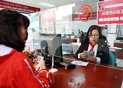 Sau Agritour, Agribank muốn thoái vốn khỏi OCB