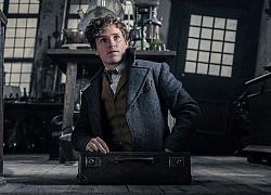 Thế giới phù thủy sắp sửa ngự trị phòng vé nhờ 'Fantastic Beasts 2'