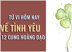 Tử vi hôm nay (12/11) về tình yêu của 12 cung hoàng đạo: Xử Nữ tổn thương