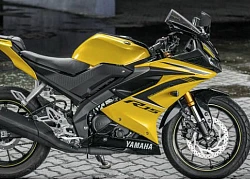 2019 Yamaha YZF-R15 giá 66,8 triệu đồng hút hồn giới trẻ