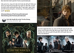 Khán giả Việt tranh cãi nảy lửa về phim &#8216;Fantastic Beasts 2&#8242;