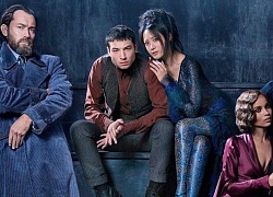 Người hâm mộ chia làm 2 phe rõ rệt sau các suất chiếu đầu tiên của Fantastic Beasts 2