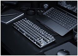 Razer BlackWidow Lite: Bàn phím cơ TKL không ồn phục vụ dân văn phòng