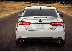 Toyota Camry TRD và Avalon TRD 2019 chính thức được vén màn với gầm hạ thấp như xe thể thao thực thụ