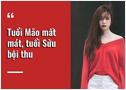 Tử vi hôm nay (15/11) về tài chính của 12 con giáp: Tuổi Mão mất mát, tuổi Sửu bội thu