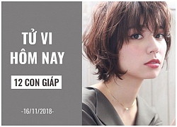 Tử vi hôm nay (16/11/2018) của 12 con giáp: Tuổi Tuất cởi mở, tuổi Hợi thay đổi vẻ bề ngoài