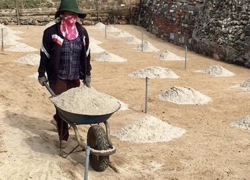 "Vàng trắng" Lý Sơn chờ giải cứu, người dân bấm bụng vào vụ mới