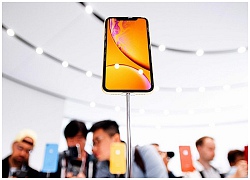 Apple giảm dây chuyền sản xuất iPhone Xr