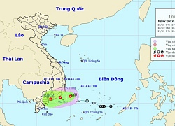 Bão số 8 suy yếu thành áp thấp nhiệt đới