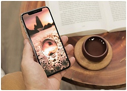 Chọn mua iPhone 7 Plus mới hay iPhone X cũ?