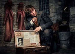 'Fantastic Beasts 2': Bộ phim chia rẽ giới phê bình và người hâm mộ loạt phim 'Harry Potter'