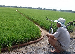 Long An: Nông dân phá rào bảo vệ đường cao tốc lấy nước trồng lúa