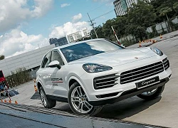 Porsche Cayenne 2018 thể hiện khả năng vượt địa hình khó