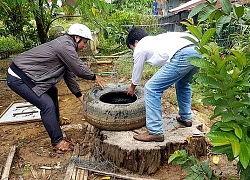 Quảng Nam: Huy động cả hệ thống chính trị phòng, chống dịch sốt xuất huyết