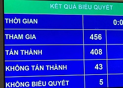 Quốc hội duyệt mô hình "đại học mẹ - đại học con"