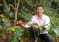 Sau 5 năm, thu nhập của người dân Hua La tăng từ 6 lên 29 triệu đồng.