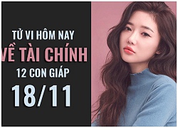 Tử vi hôm nay (18/11) về tài chính của 12 con giáp: Tiền đổ tràn túi tuổi Tý