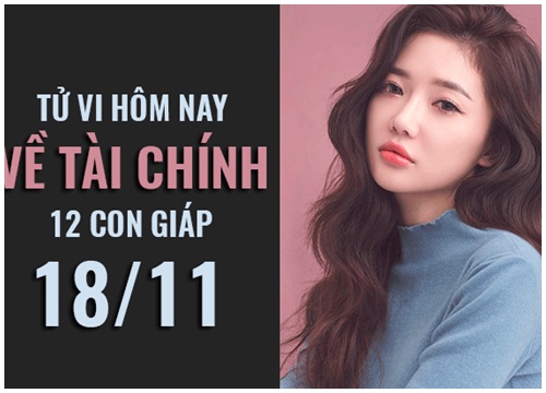 Tử vi hôm nay (18/11) về tài chính của 12 con giáp: Tiền đổ tràn túi tuổi Tý