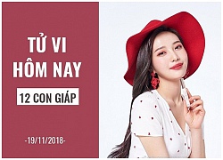 Tử vi hôm nay (19/11/2018) của 12 con giáp: Tuổi Thìn nắm bắt thời cơ, tuổi Tỵ bận rộn