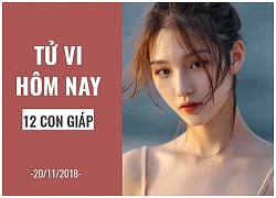 Tử vi hôm nay (20/11/2018) của 12 con giáp: Tuổi Ngọ kiên định, tuổi Mùi tập trung