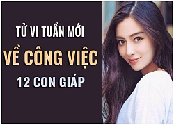 Tử vi tuần mới (19/11 &#8211; 25/11) về công việc của 12 con giáp