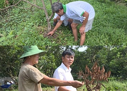 Vĩnh Long: Hoang mang nghi án đổ dầu hỏa "thiêu chết" vườn chôm chôm