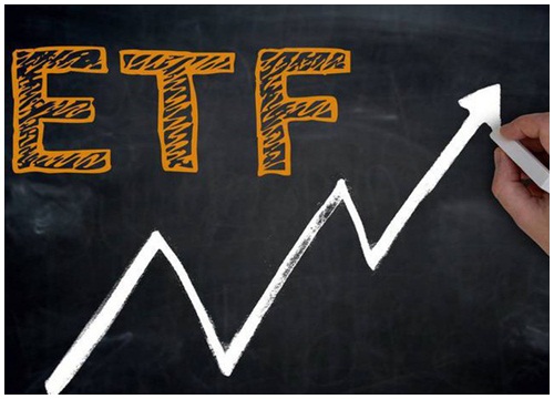 VNM ETF sẽ loại VCG, thêm GEX trong đợt cơ cấu danh mục tháng 12?