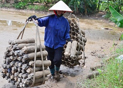 Chốn cửa sông, dân đổi đời nhờ nghề săn bắt con "nhát chết"