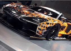 Chưa thử nghiệm xong, siêu xe McLaren Senna GTR đã 'cháy hàng'