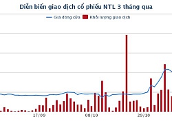 Đằng sau diễn biến tăng giá phi thường của cổ phiếu NTL