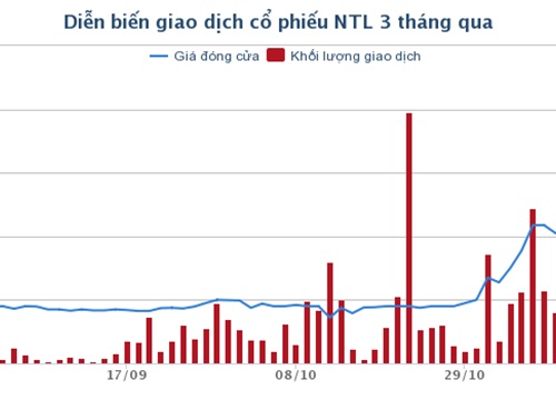 Đằng sau diễn biến tăng giá phi thường của cổ phiếu NTL