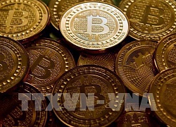 Đồng bitcoin tiếp tục tuột dốc