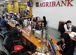 Khó khăn ngáng đường cổ phần hoá của Agribank