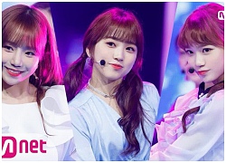 "Mổ xẻ" ưu, nhược điểm của các sân khấu âm nhạc: M!Countdown vừa đẹp vừa hoành tráng, Music Bank chỉ chờ "dìm hàng" Idol