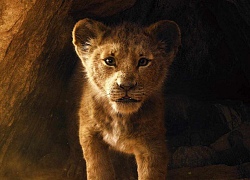 Phim live-action 'Lion King' của Disney tung teaser quá giống bản hoạt hình, vua sư tử sẽ gầm vang mùa phim hè 2019