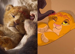 Trailer 'Lion King' bản live-action giống và khác gì so với phim hoạt hình?