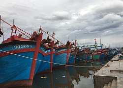 Bão số 9 căng thẳng, Ninh Thuận chằng chống hàng ngàn ngôi nhà