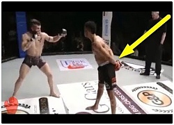 Bị hạ knock-out vì quá kiêu ngạo