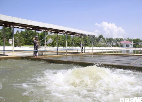 Bí thư Trương Quang Nghĩa: 'Nếu không can thiệp, người dân sẽ thành con tin của Dawaco'