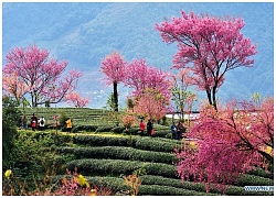 Đây là những địa điểm bạn có thể tham khảo cho chuyến du lịch đầu đông sang Trung Quốc để tận hưởng khung cảnh thiên nhiên tráng lệ.