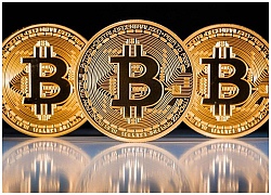 Mơ giá Bitcoin lên đỉnh ư, hãy xem nó đang lao xuống vực...