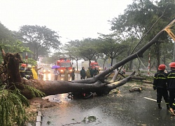 Mưa lớn kéo dài, TP.HCM có 40 điểm ngập sâu