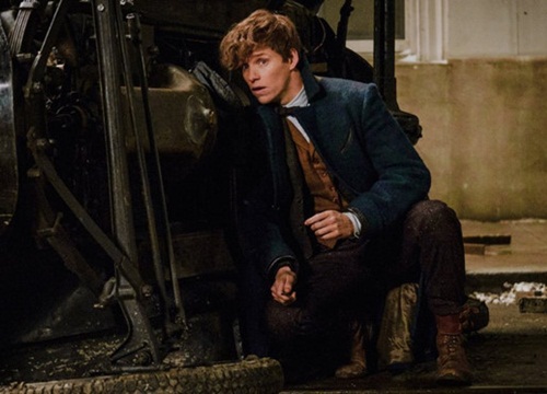 Nam chính 'Fantastic Beasts' bị chê yếu, trọng tình riêng hơn chính sự