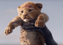 Tại sao "The Lion King" chẳng có lấy một mống người nhưng vẫn được gọi là phim "live-action"?