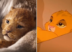 Thích thú với video so sánh giữa hai phiên bản của &#8216;The Lion King&#8217;